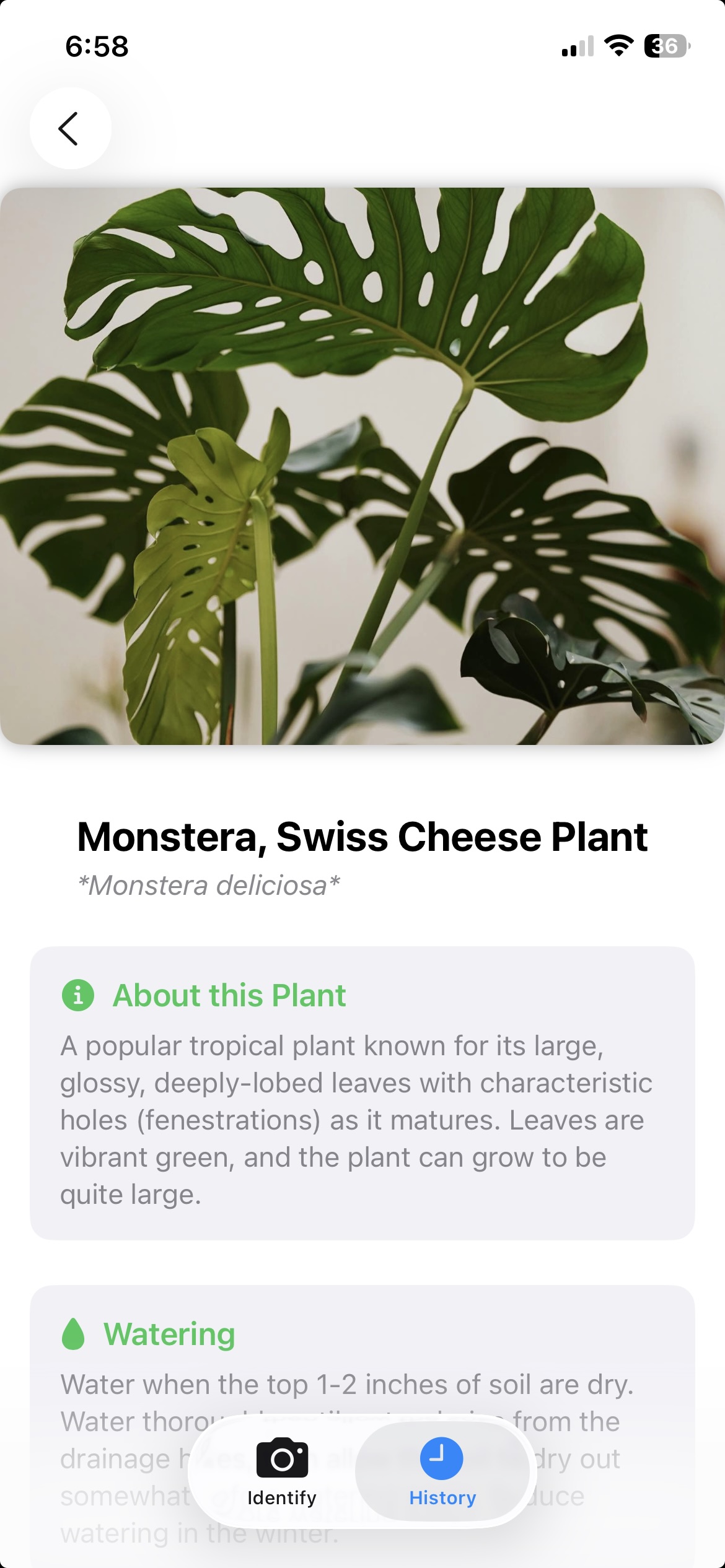 Greeny App - Results